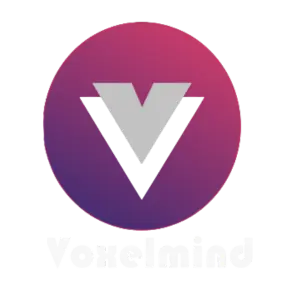 VoxelMind