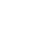 swiss-made